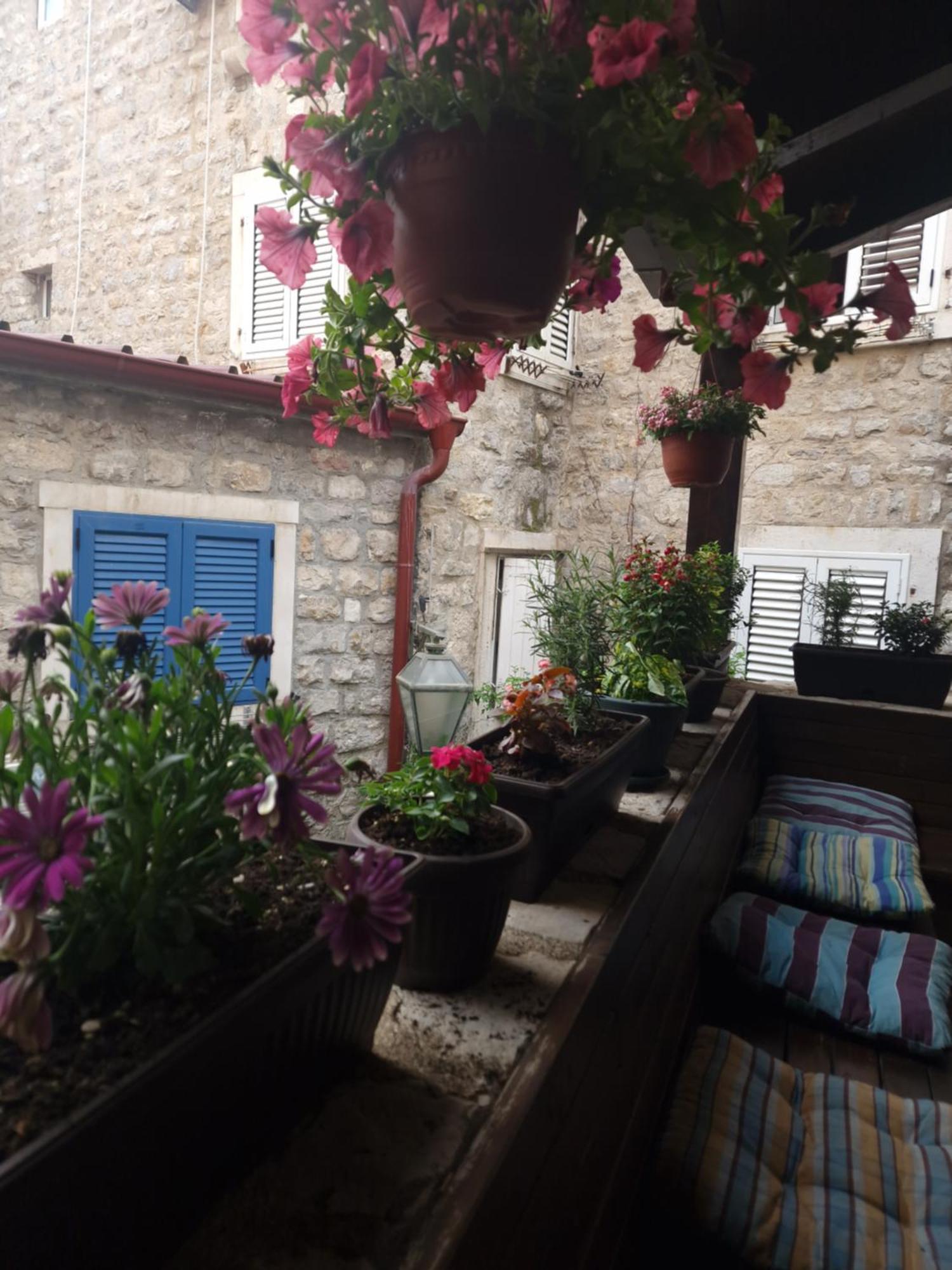 Dana Old Town Guest house Budva